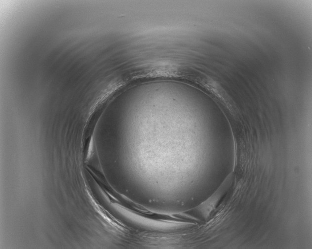 X0000059240677200510211603