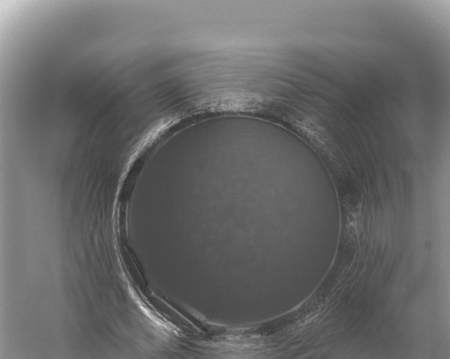 X0000059240678200510211603