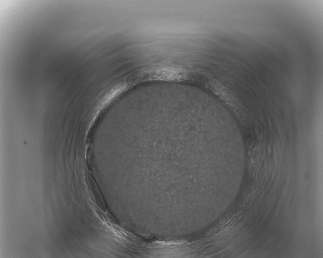 X0000059240679200510211603