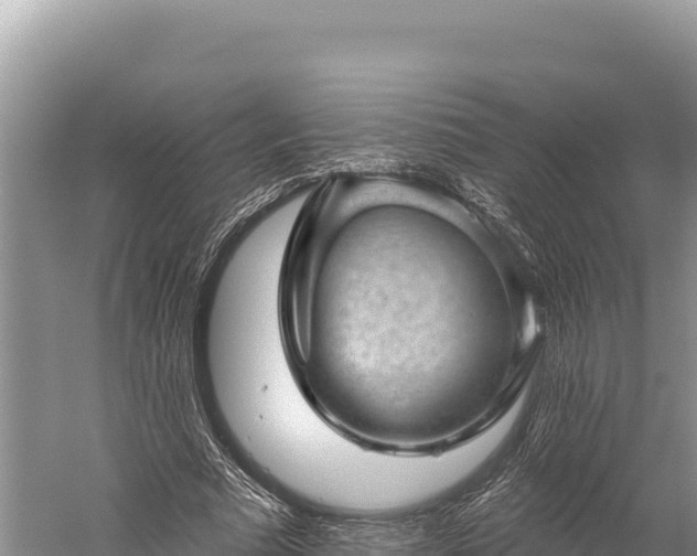 X0000059240681200510211603