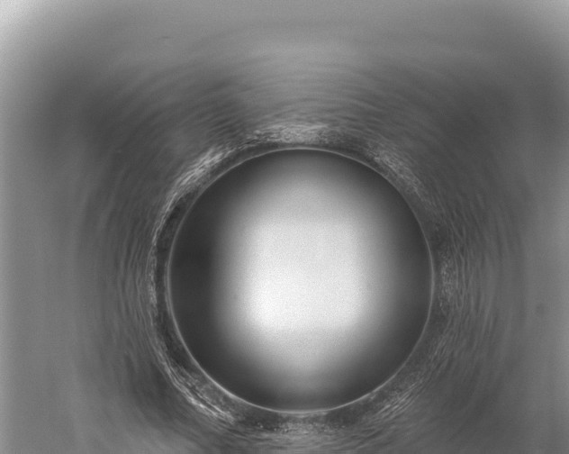 X0000059240682200510211603