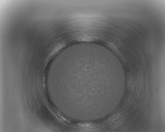 X0000059240683200510211603