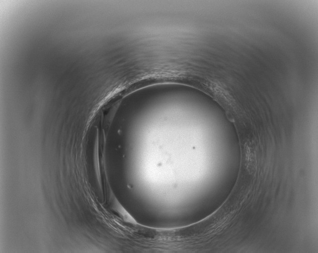 X0000059240684200510211603