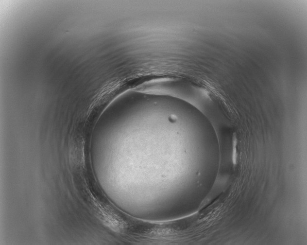 X0000059240685200510211603