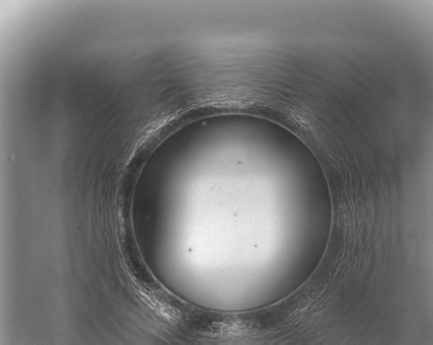 X0000059240688200510211603