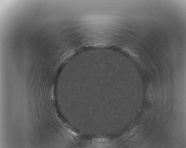 X0000059240689200510211603