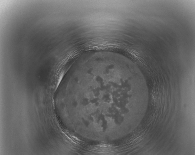 X0000059240691200510211603