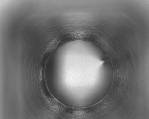 X0000059240694200510211602