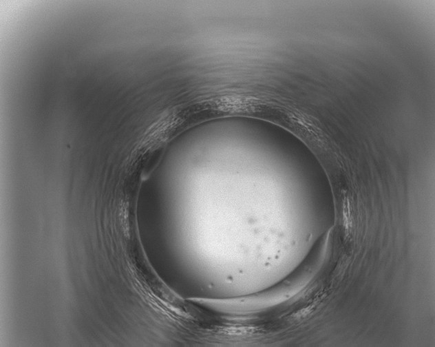 X0000059240696200510211602