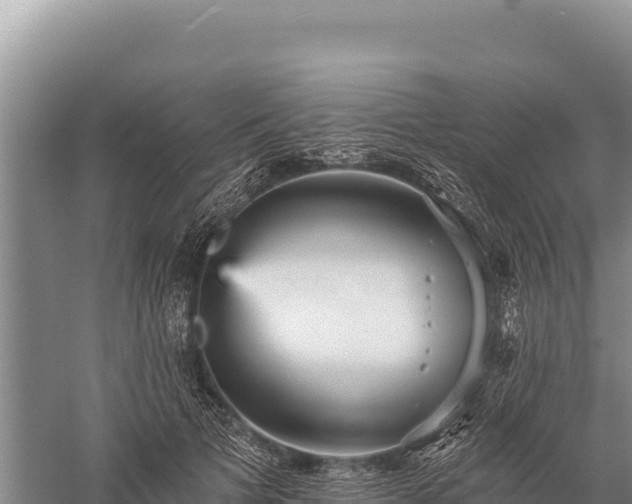 X0000059240697200510211602