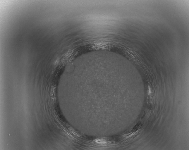 X0000059240699200510211602