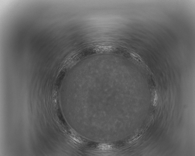 X0000059240701200510211602