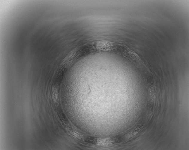 X0000059240705200510211602