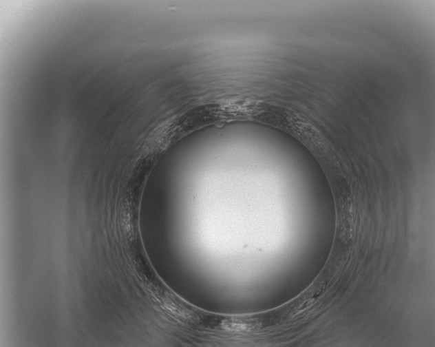 X0000059240706200510211602