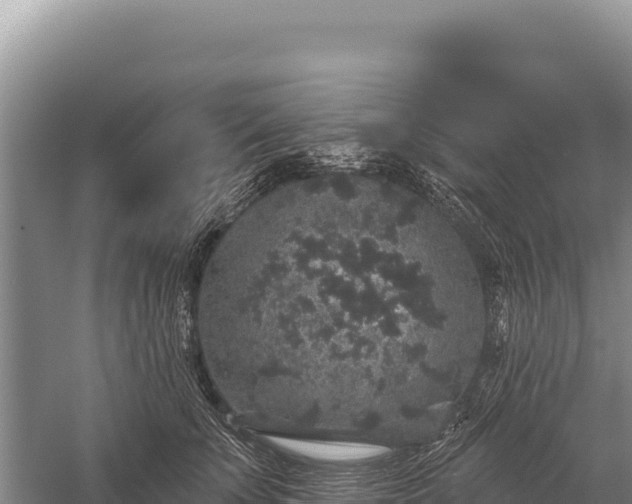 X0000059240707200510211602