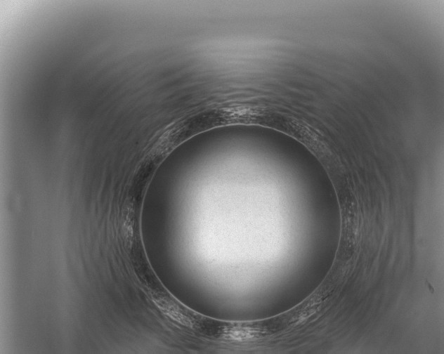 X0000059240710200510211602