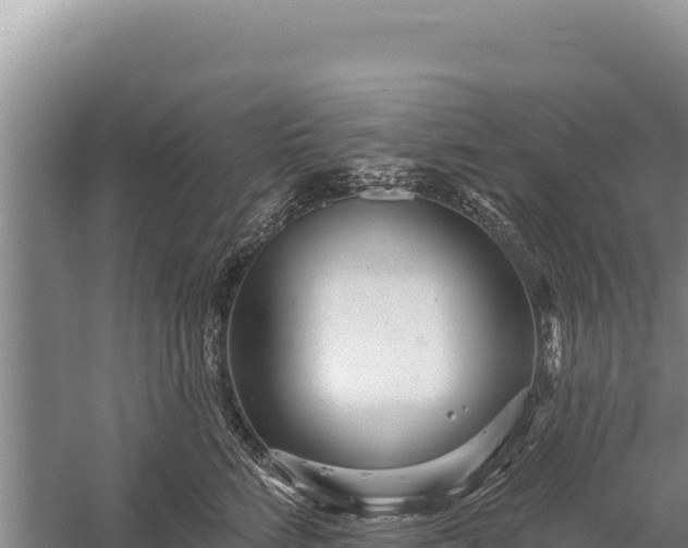 X0000059240712200510211602