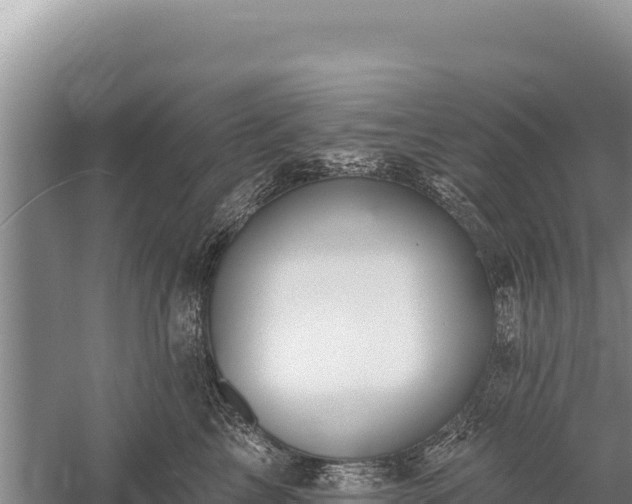 X0000059240713200510211602