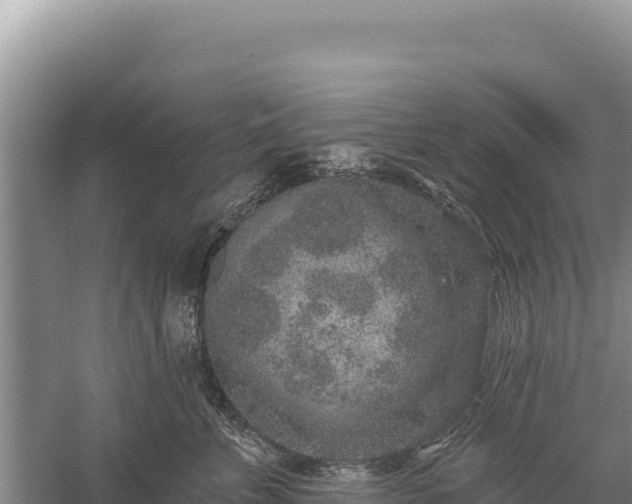 X0000059240715200510211602