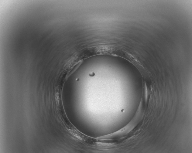 X0000059240716200510211602