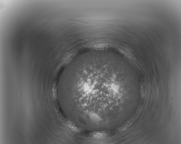 X0000059240718200510211602