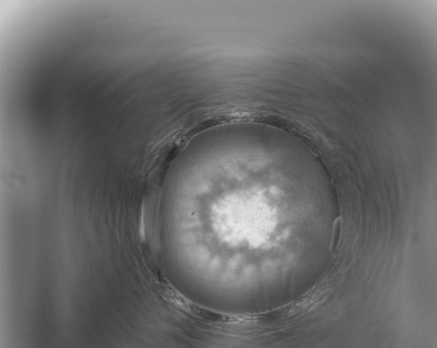 X0000059240720200510211602