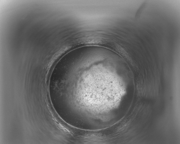 X0000059240721200510211601