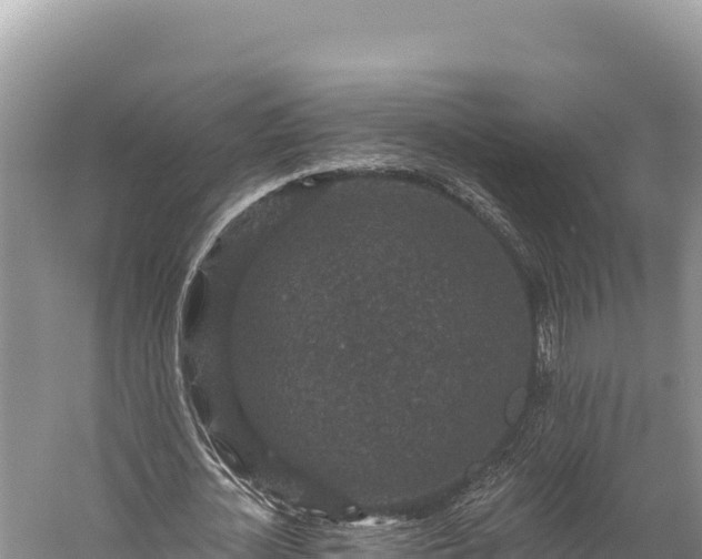 X0000059240724200510211601