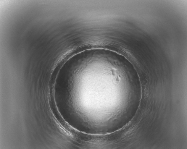 X0000059240725200510211601