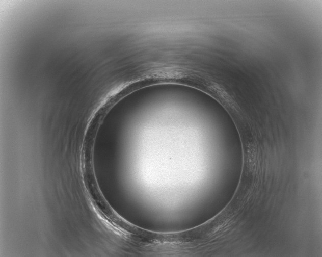 X0000059240726200510211601