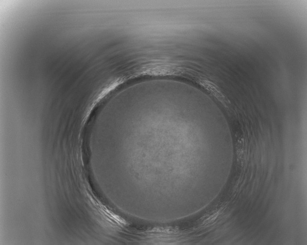 X0000059240727200510211601