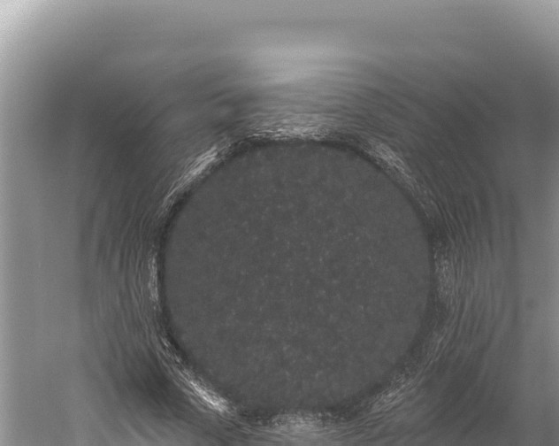 X0000059240729200510211601