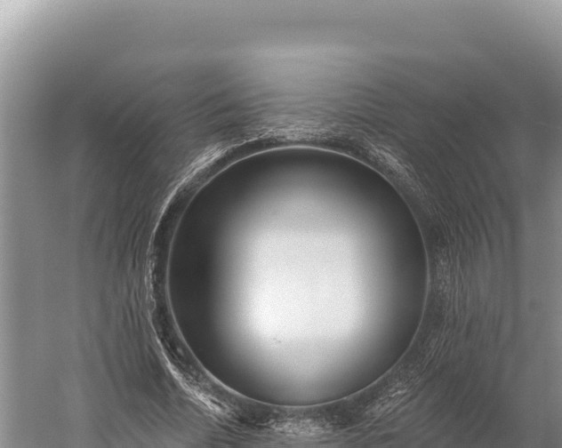 X0000059240730200510211601