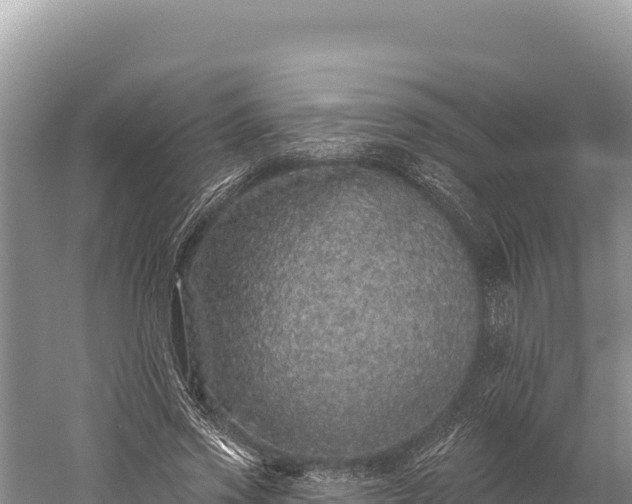 X0000059240733200510211601