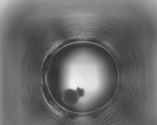 X0000059240734200510211601