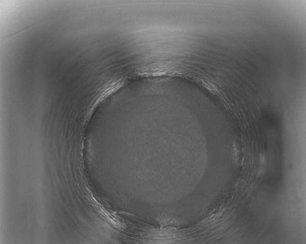 X0000059240735200510211601