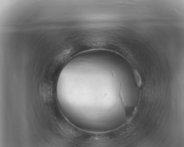 X0000059240739200510211601