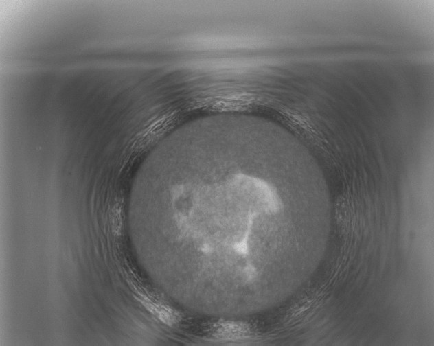 X0000059240741200510211602