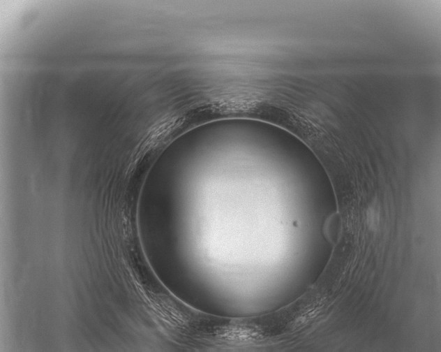 X0000059240743200510211602