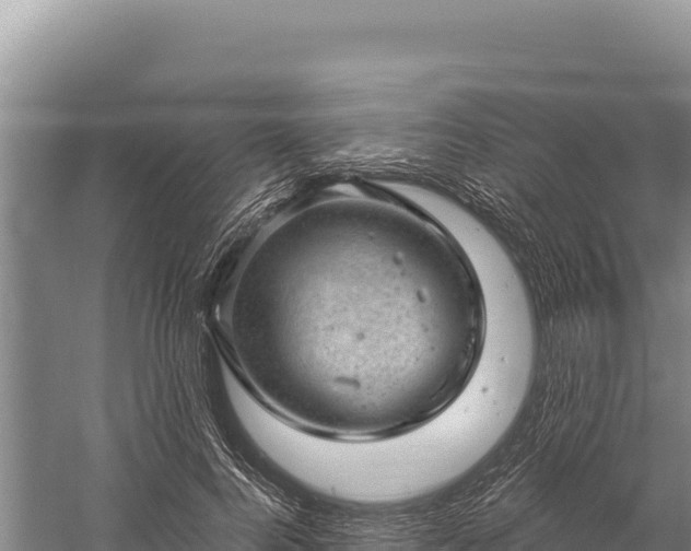 X0000059240744200510211602