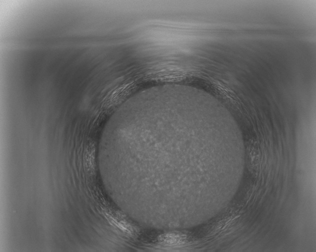 X0000059240745200510211602