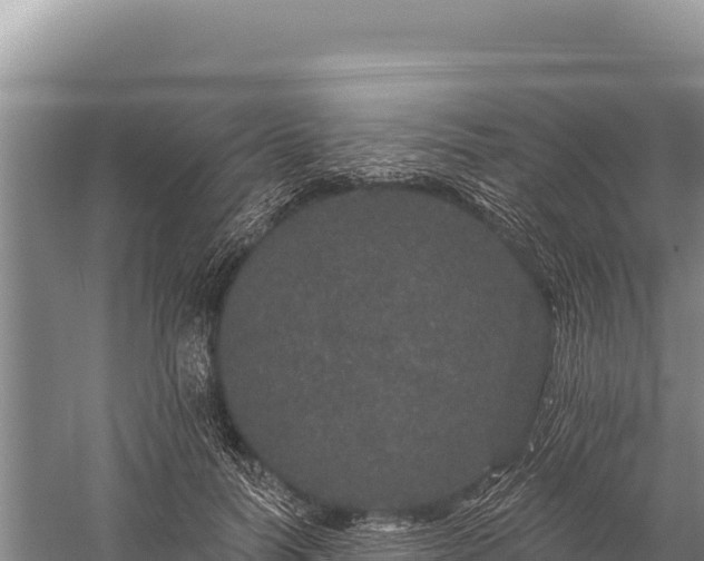 X0000059240746200510211602