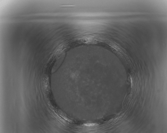 X0000059240748200510211602