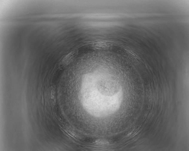 X0000059240749200510211602