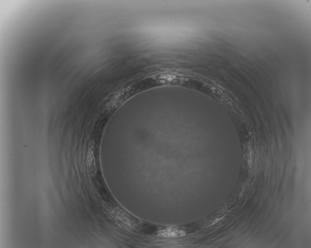 X0000059240754200510211602