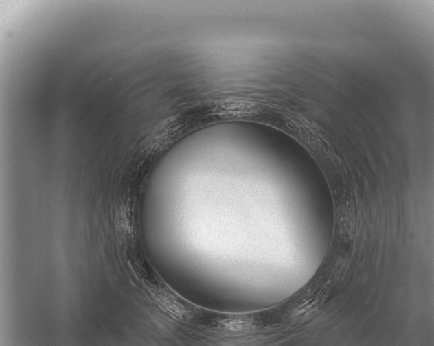 X0000059240755200510211602