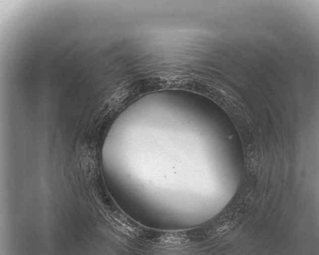 X0000059240756200510211602