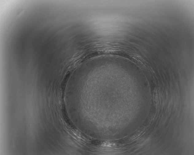 X0000059240760200510211602