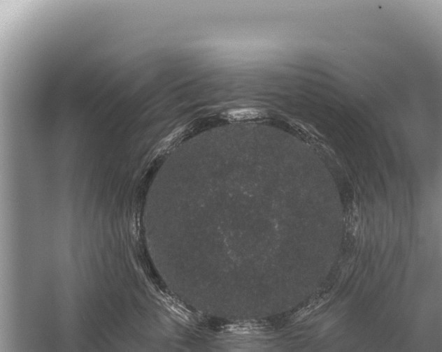 X0000059240763200510211602