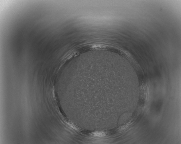 X0000059240765200510211602